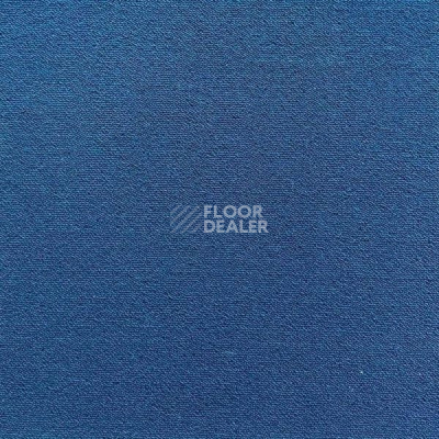 Ковровая плитка Apoluza Royal 7003 фото 1 | FLOORDEALER